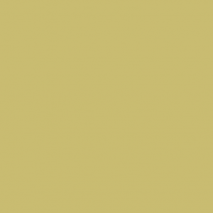 Image of the color dark yellow